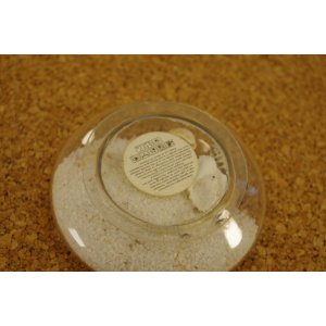Szklany świecznik dekoracyjny z muszlami – morski tealight