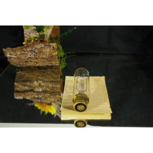 NARVA 66252 110 V 1000 W – lampa projekcyjna / żarówka do projektora, vintage NOS